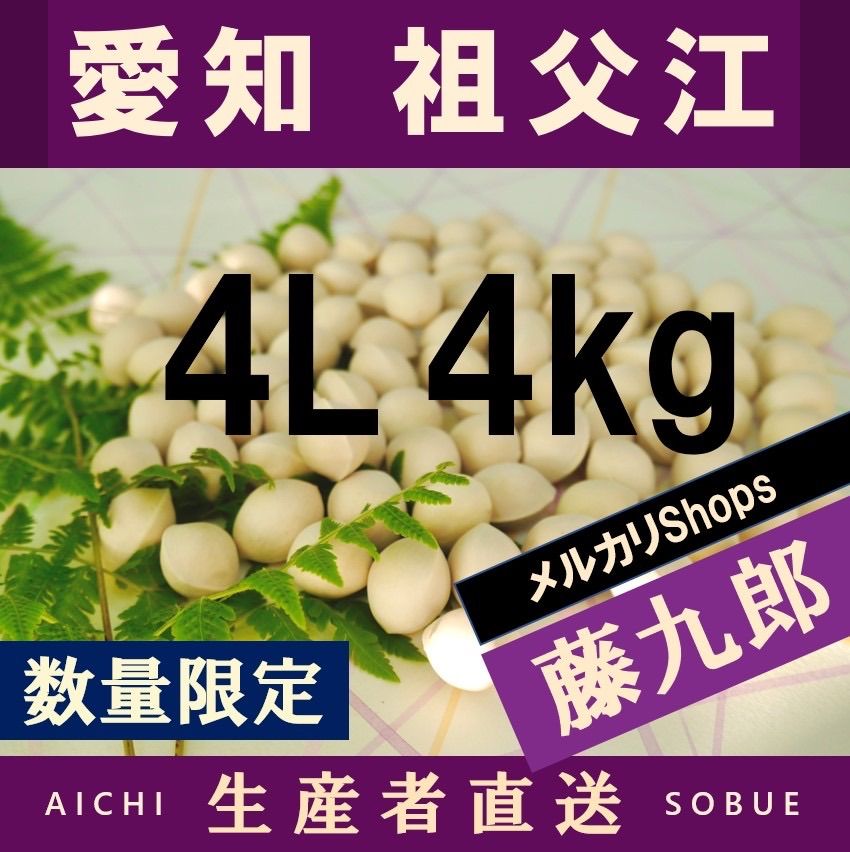 2024年新物 藤九郎 銀杏 生産者直送 祖父江産 ぎんなん 4L 4kg 野菜 2024年新物 藤九郎 銀杏 生産者直送 祖父江産 ぎんなん 4L 4kg 野菜