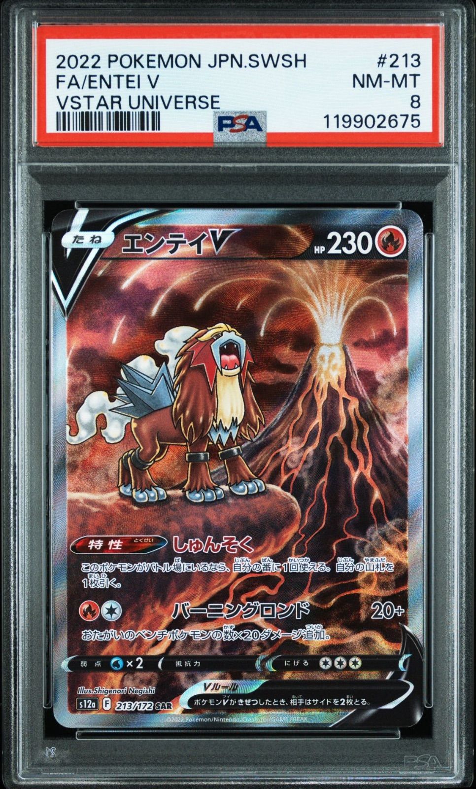 PSA8,PSA10】 3連番 エンテイV スイクンV ライコウV SAR VSTAR