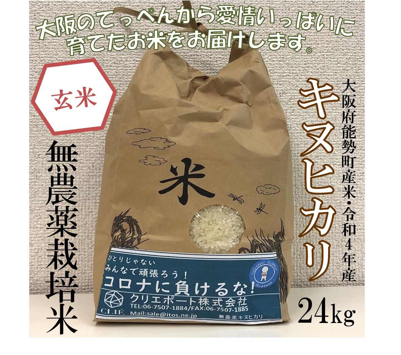 【在庫処分！】【令和４年産/無農薬栽培】大阪のてっぺんキヌヒカリ玄米24kg大阪府能勢産