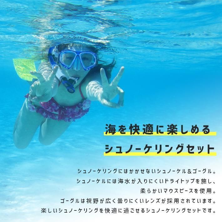 シュノーケル セット 全4色 ドライシュノーケル + マスク 二眼ゴーグル 2点セット シュノーケリング スノーケリング