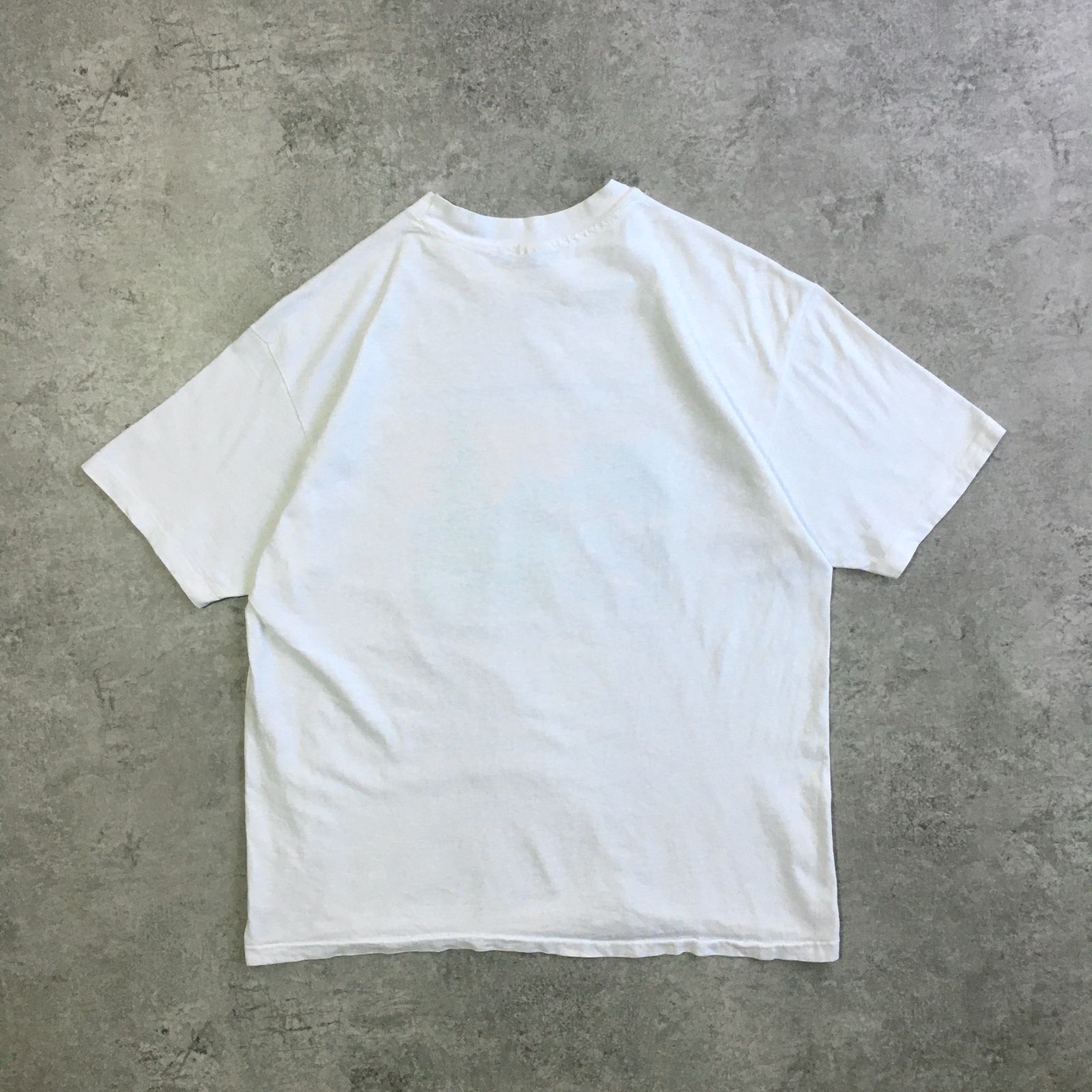 90s USA製 Hanes L.L.Bean Pastel scenery Printed T-shirt
