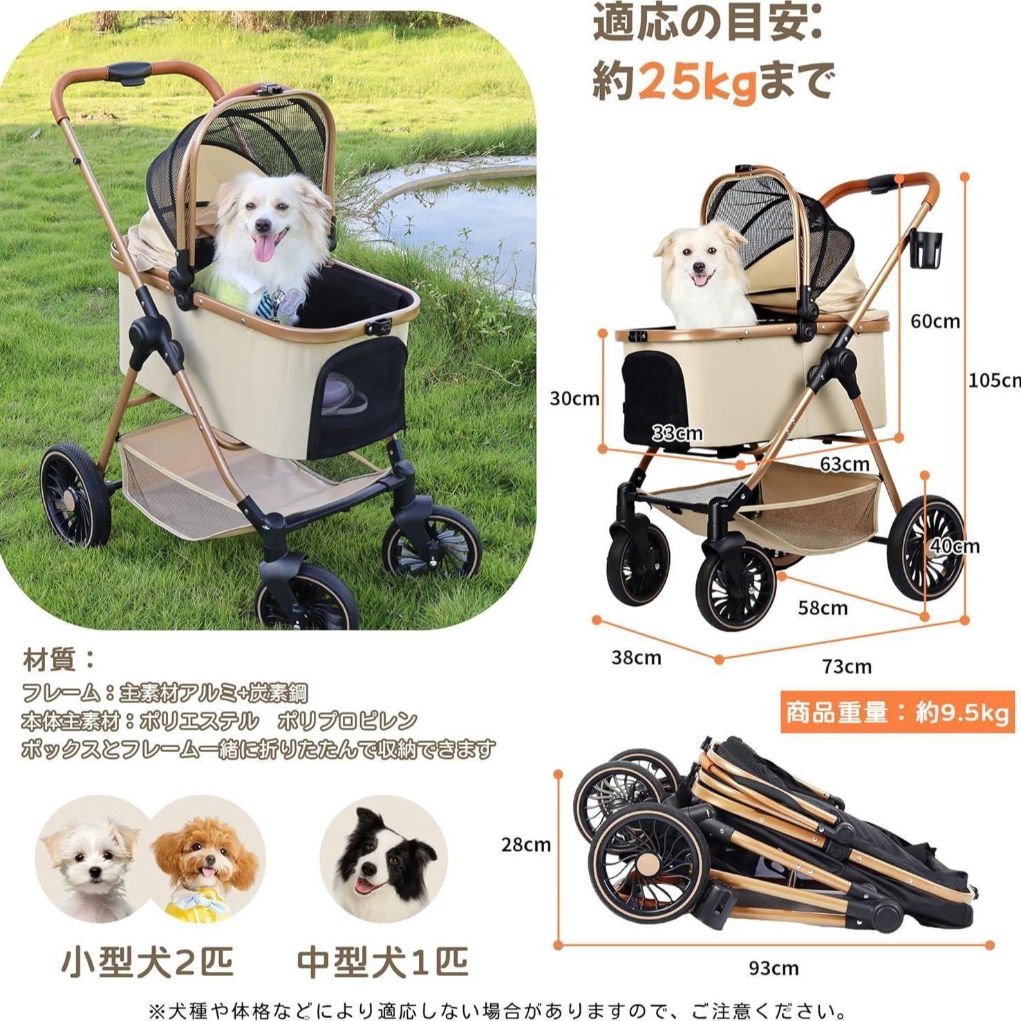 ??お買い得クーポン配布中???