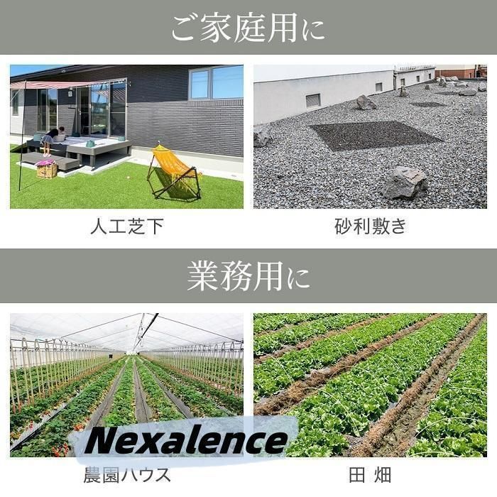 雑草