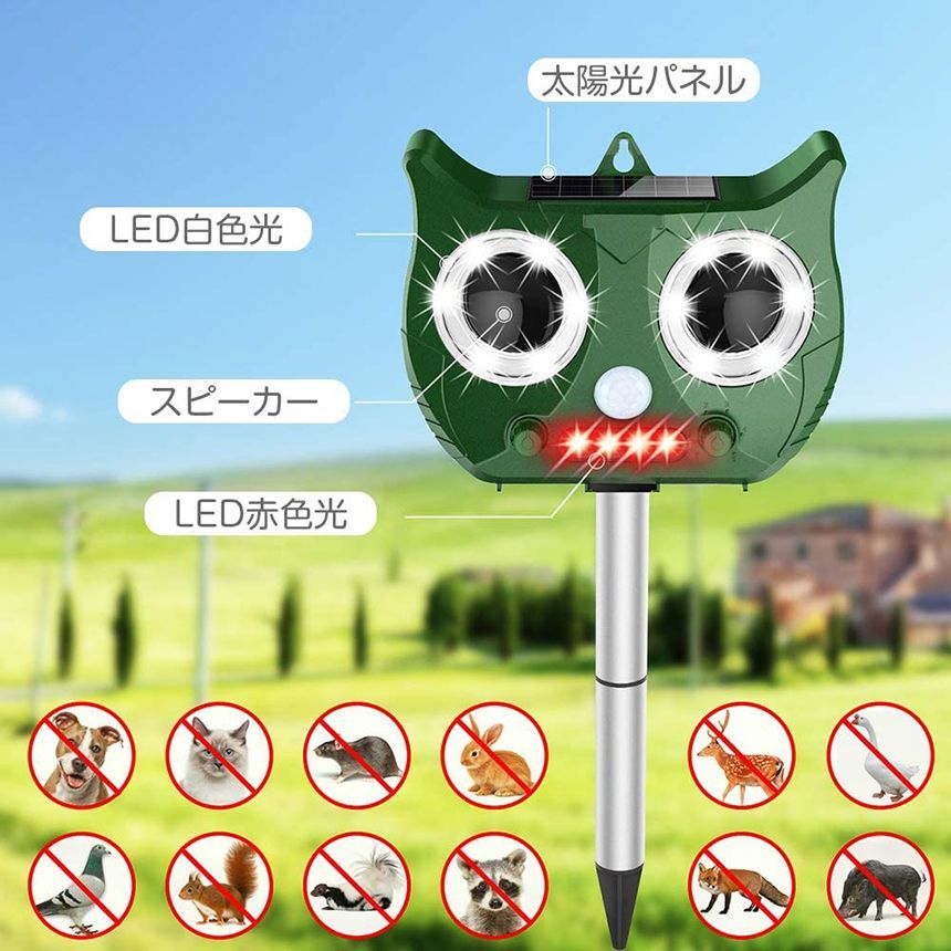 猫退治