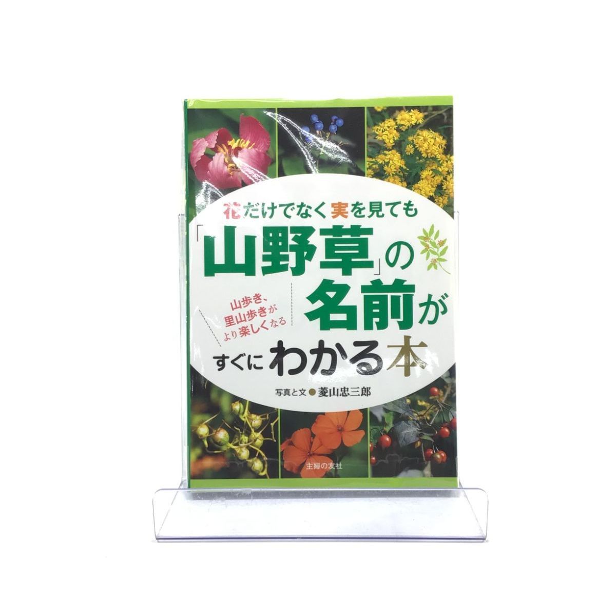 A076　花だけでなく実を見ても「山野草」の名前がすぐにわかる本　Day-Book　メルカリ