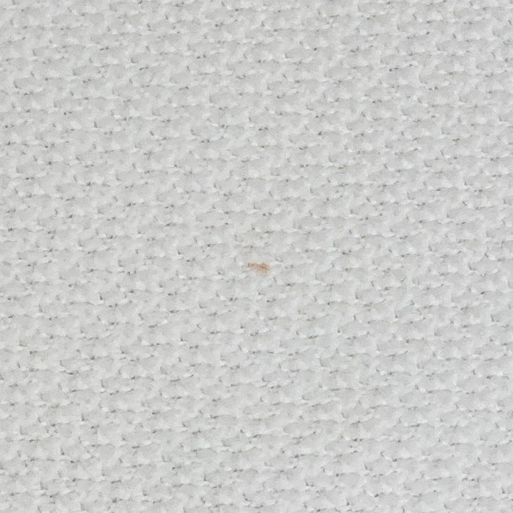 半袖ポロシャツ ちょい悪ウサギ