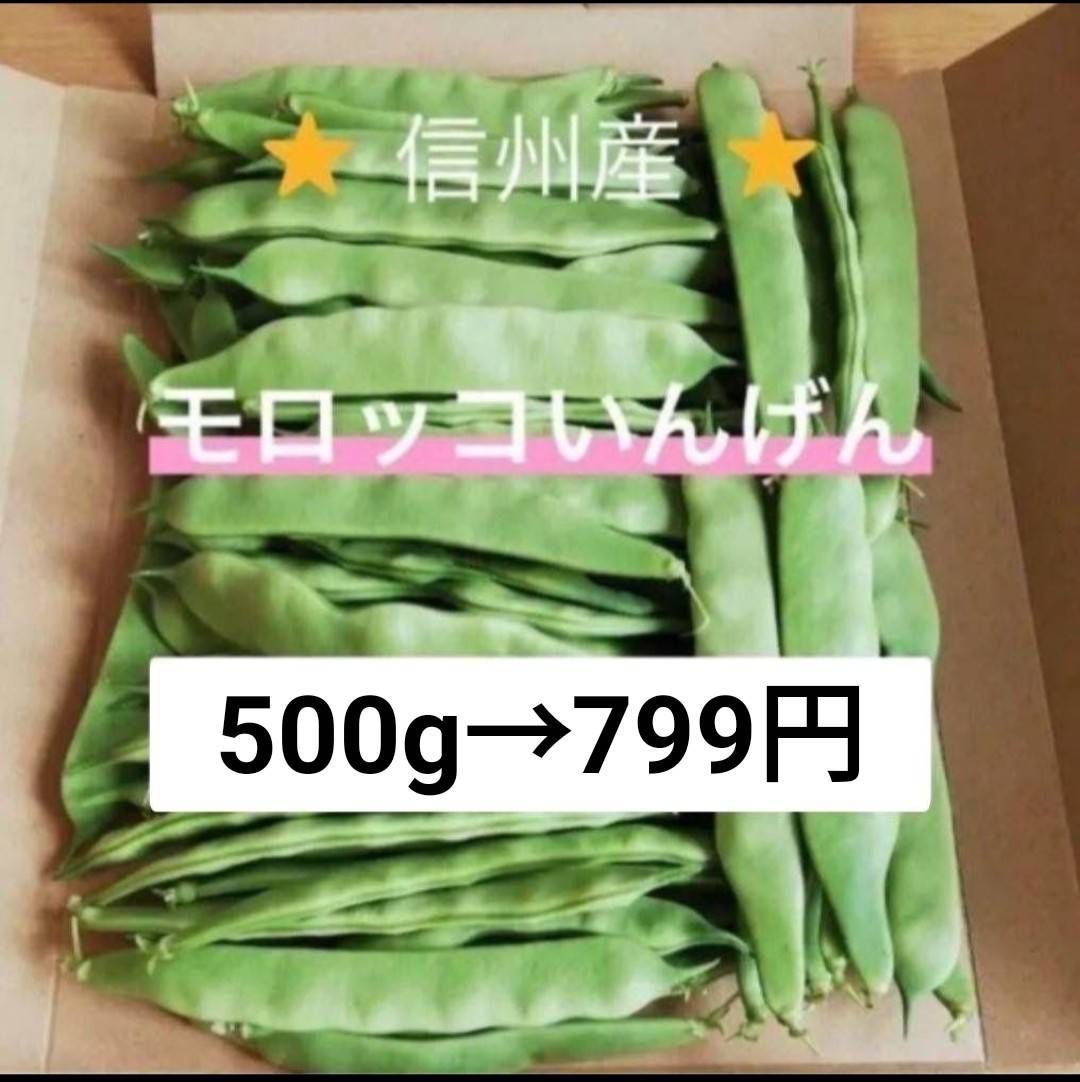 長野県産 モロッコインゲン 大量購入者大歓迎 インゲンの商品一覧｜野菜の種｜ホームセンターナフコ【公式通販】