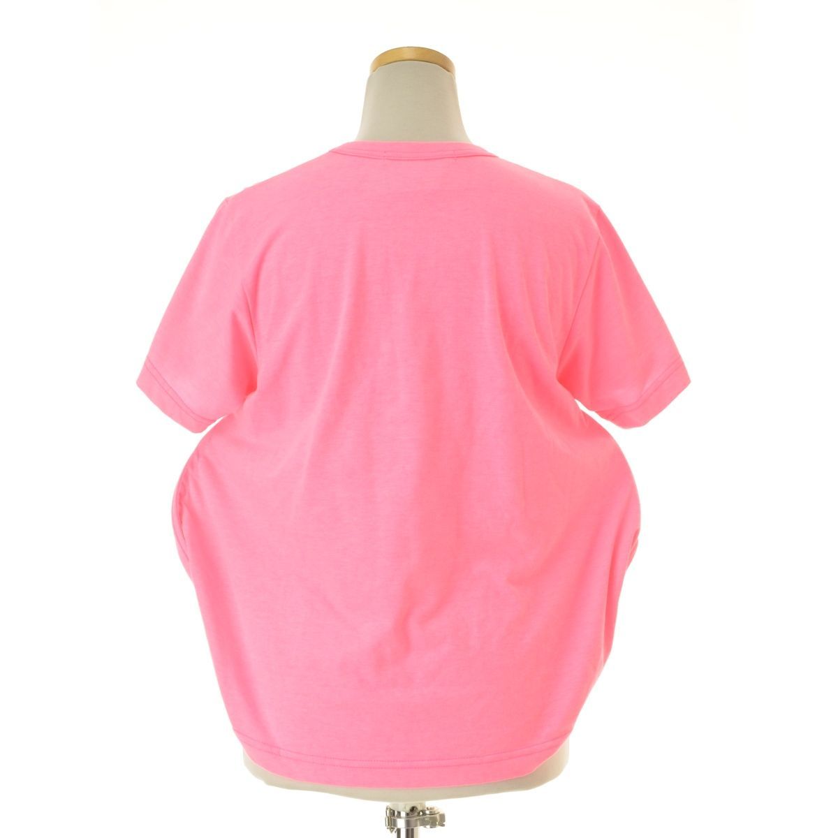 S【COMME des GARCONS / コムデギャルソン】22SS AD2021 GI-T003  