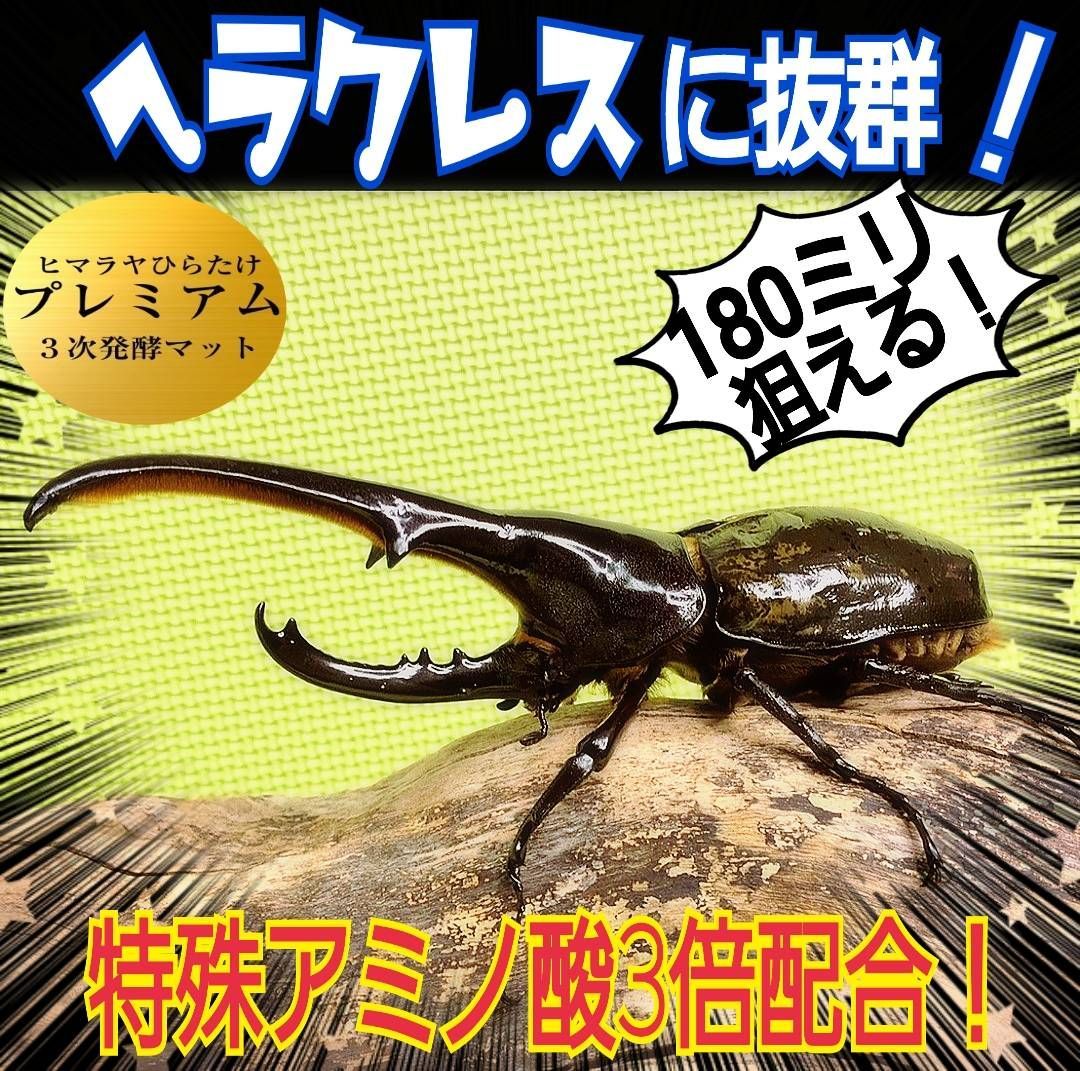 増量50L☆プレミアム3次発酵カブトマット　特殊アミノ酸・共生バクテリア3倍配合 幼虫巨大化 ギネスサイズ出てます 進化した プレミアム3次発酵