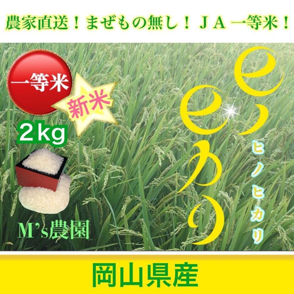 農家直送　ヒノヒカリ　5kg 無洗米