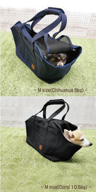 超小型犬 小型犬