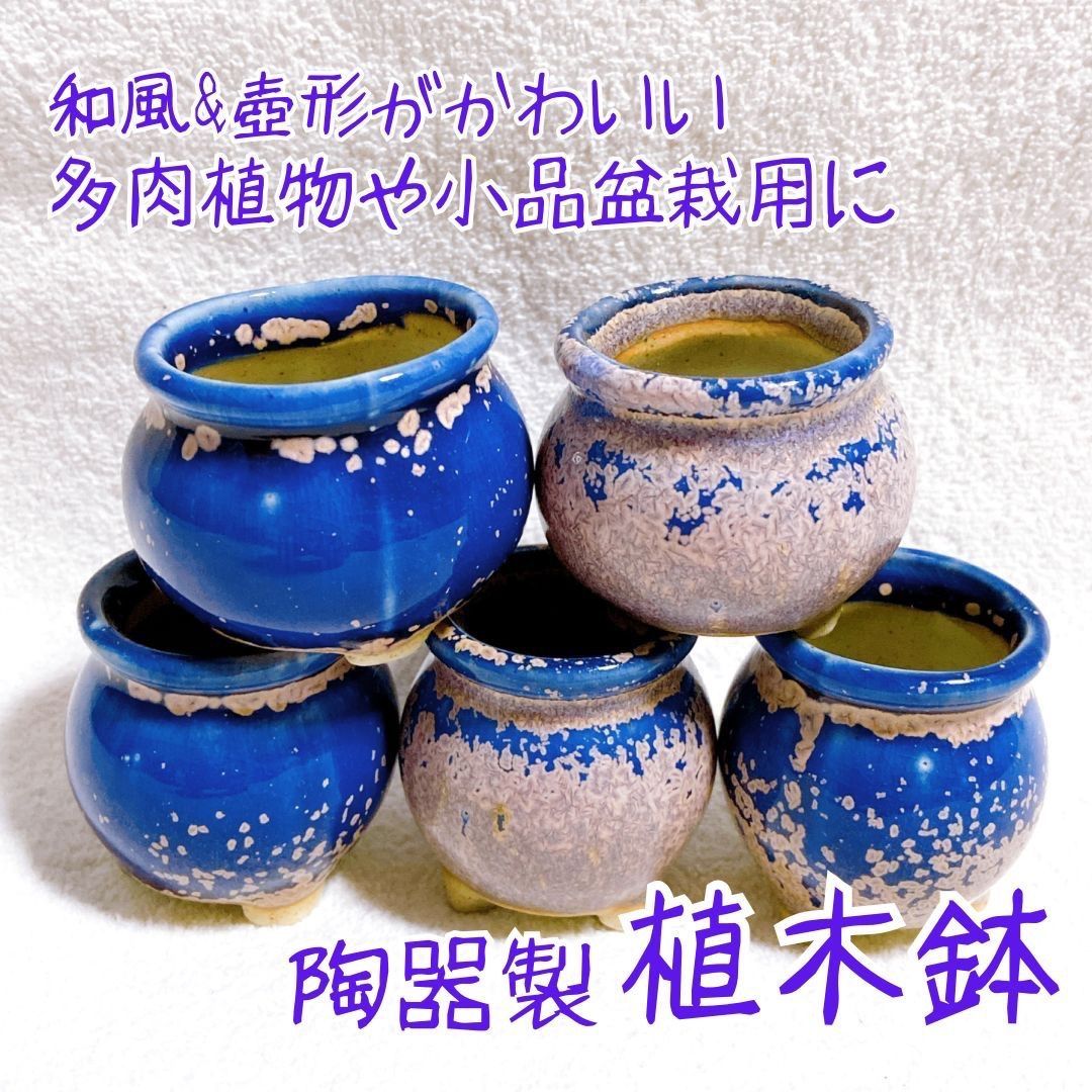 青色 陶器製 盆栽用鉢 22号 園芸用品 【お得&訳あり 青色と桃色の2色陶器製植木鉢 5点セット】多肉