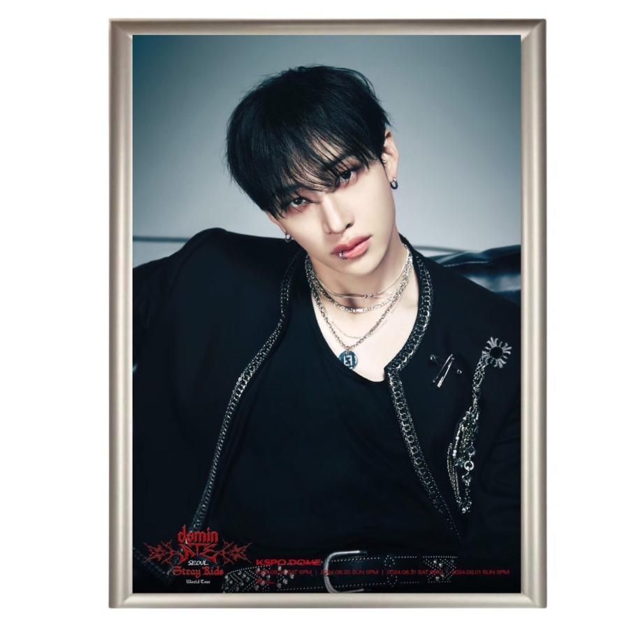 バンチャン StrayKids ストレイキッズ スキズ フォトプレート 額