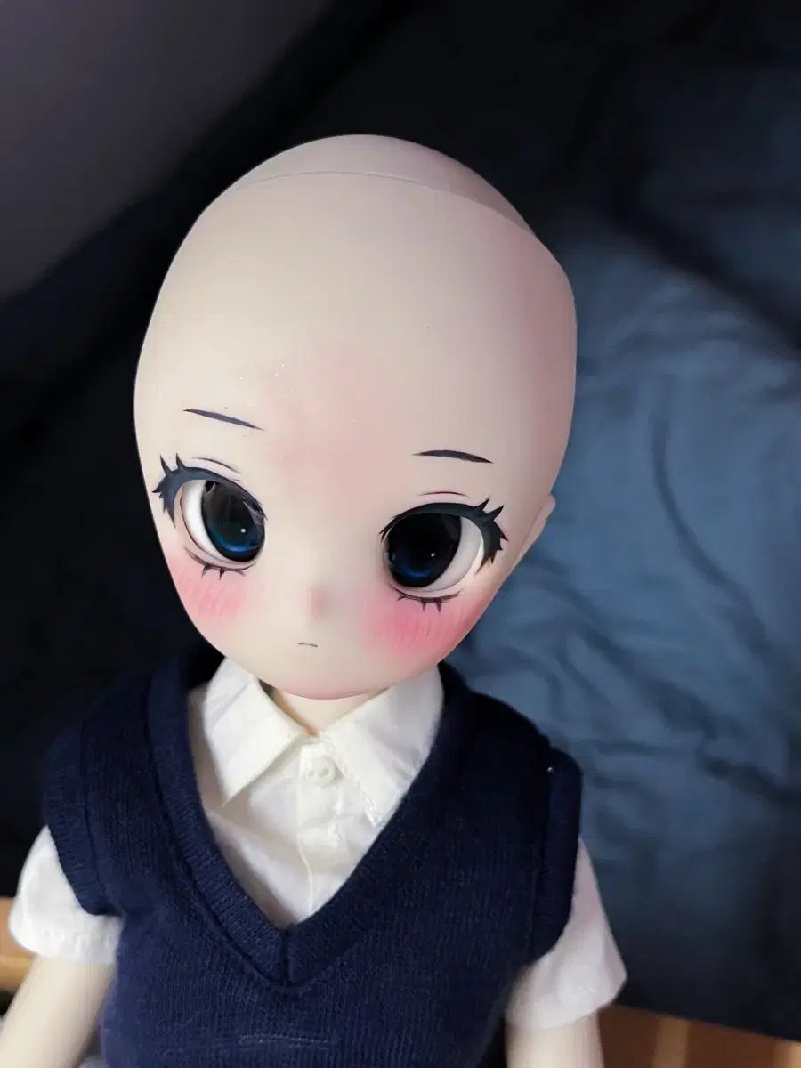 ボークス（Volks Inc.） ドルフィンドリーム MDD マクヘッド 出品