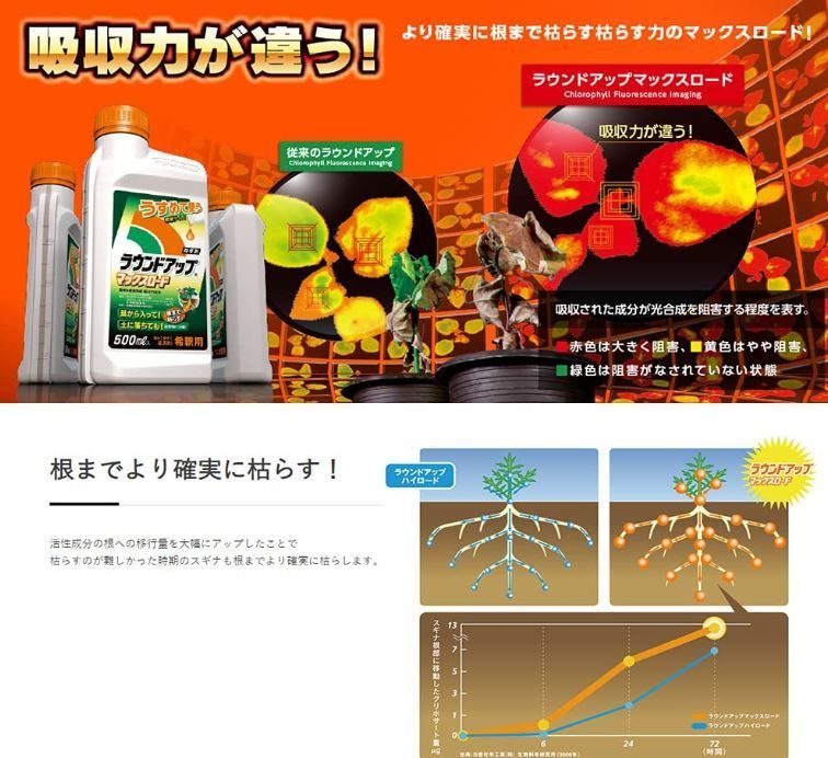 マックスロード