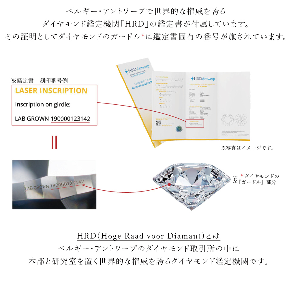 IGI鑑定書付き ラボグロウンダイヤモンド 0.60ct.up DカラーVVS2 ラボグロウンダイヤモンド IGI鑑定書付き0.32ct D/VVS2/IDEAL