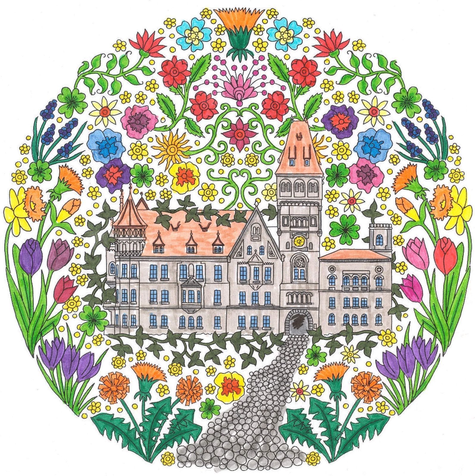 アルブレヒト デューラー水彩色鉛筆