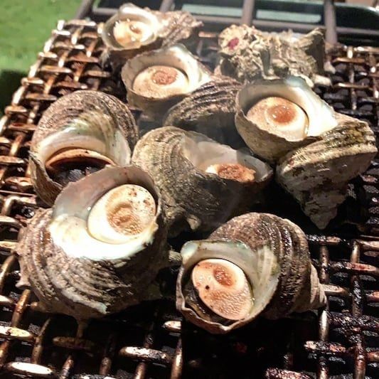 アウトドア