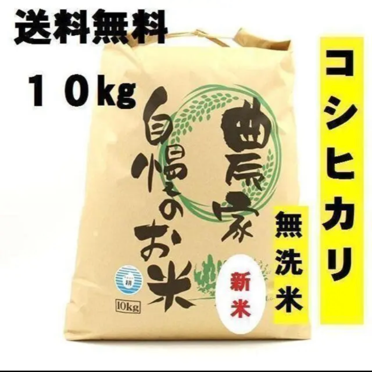 無洗米　10kg コシヒカリ　新米　栃木県産　令和4年産　送料無料　米　10キロ-0