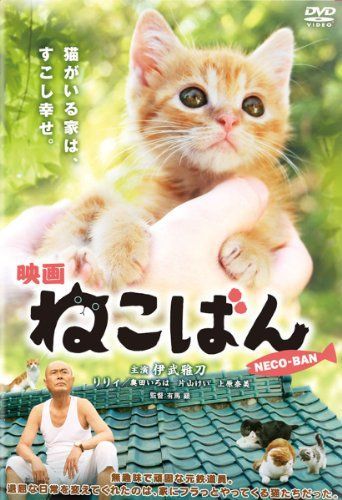 連続テレビドラマ ねこばん DVD-BOX〈4枚組〉＋映画 映画 ねこばん [DVD] 【公式通販】