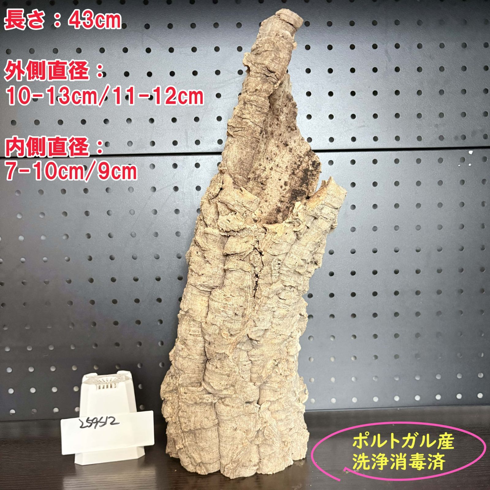 259S12 ポルトガル産 キャノンコルク コルク樹皮 コルク板 バージンコルク チランジア ビカクシダ 着生ラン 両生類 爬虫類