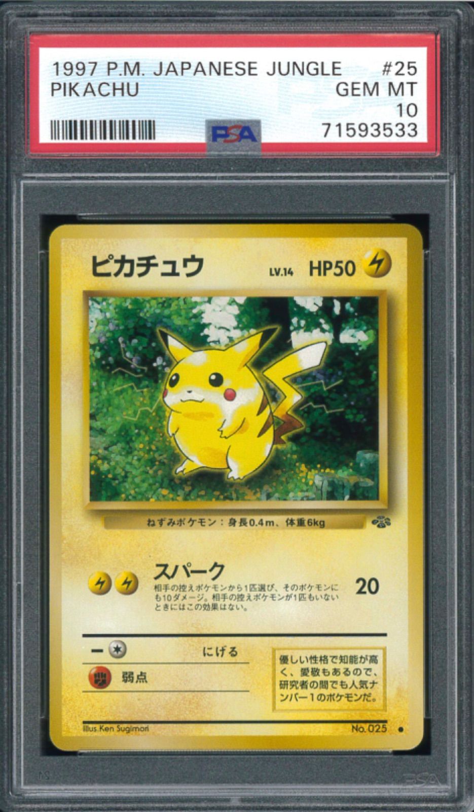 ポケモンカード ピカチュウ ポケモンジャングル 旧裏 旧裏面