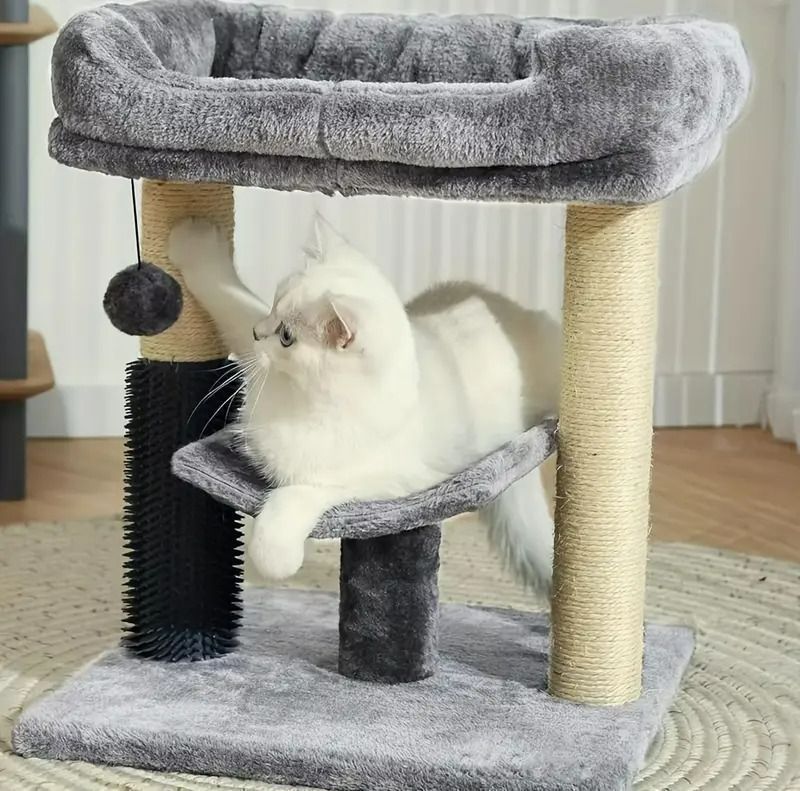 猫 ネコ
