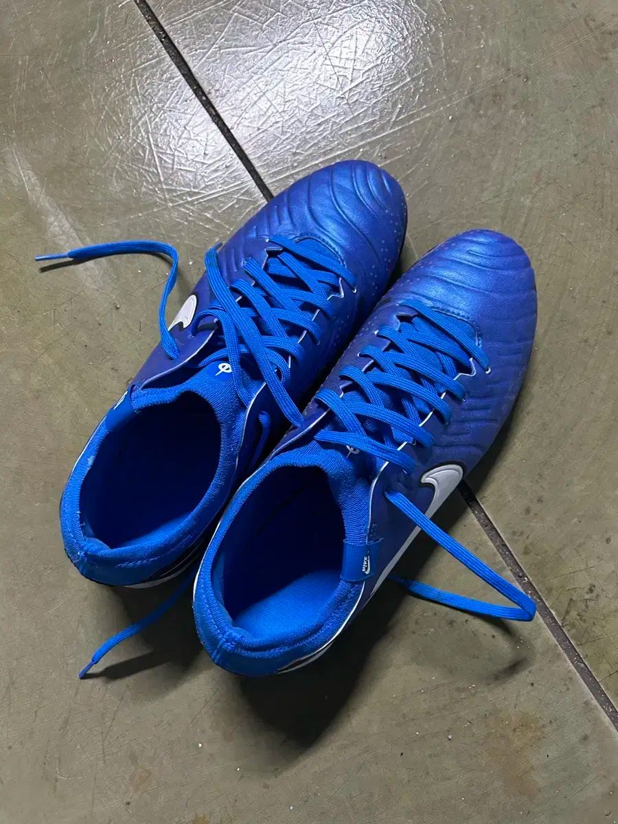 セラバンド 50ヤード（45m） タン