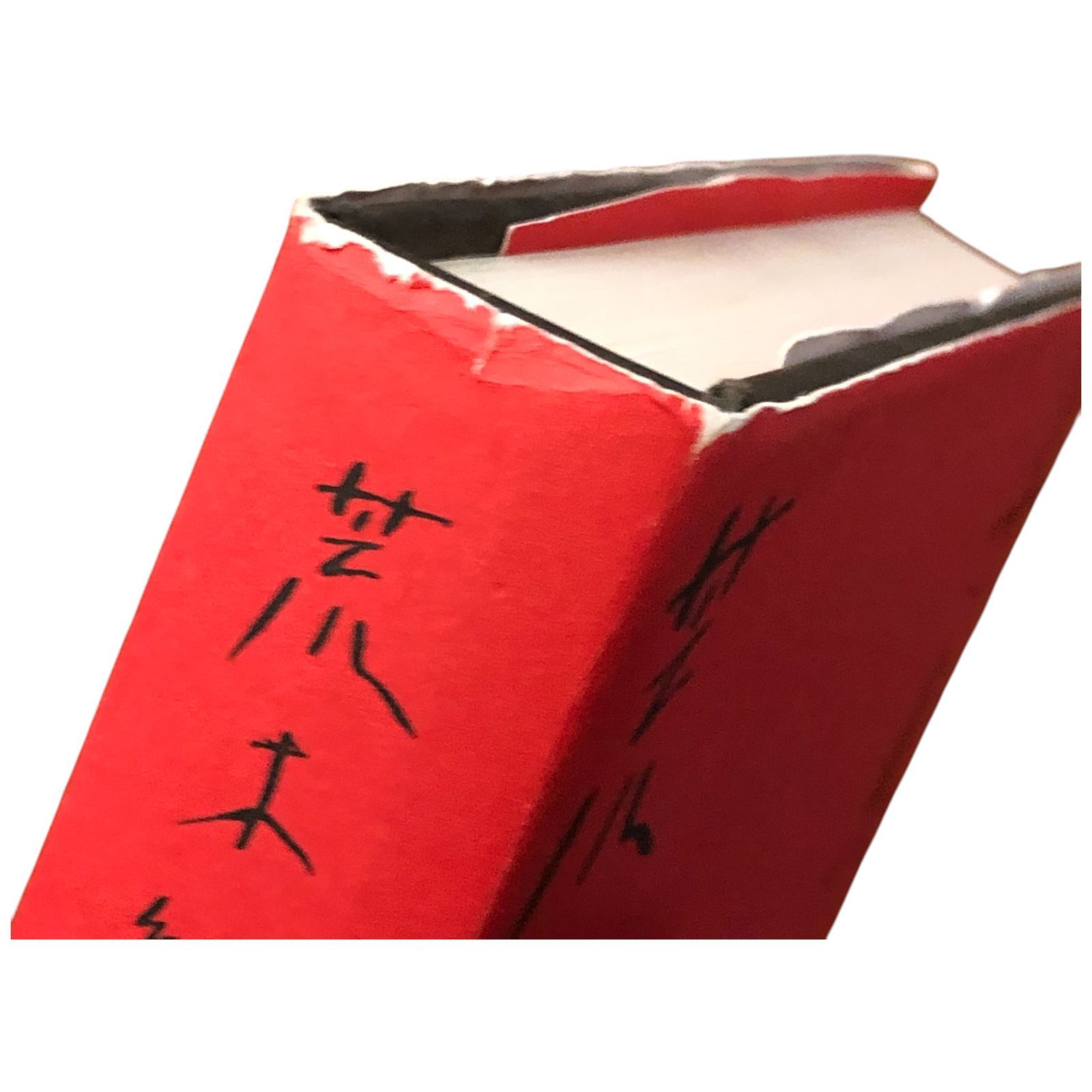 写真私情主義　サイン入り 荒木経惟サイン入】写真私情主義 荒木経惟 平凡社 2000年5月25日