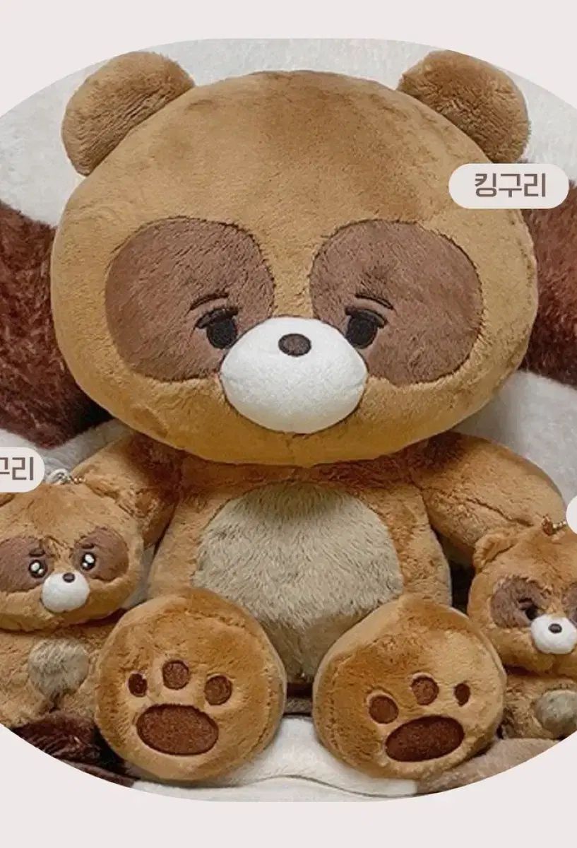 THEBOYZ ドボイズ ソヌ 30cm ぬいぐるみ ドール