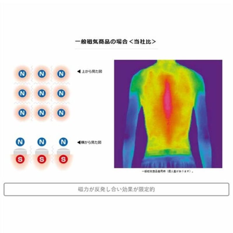 Colantotte|コラントッテ 磁気ネックレス