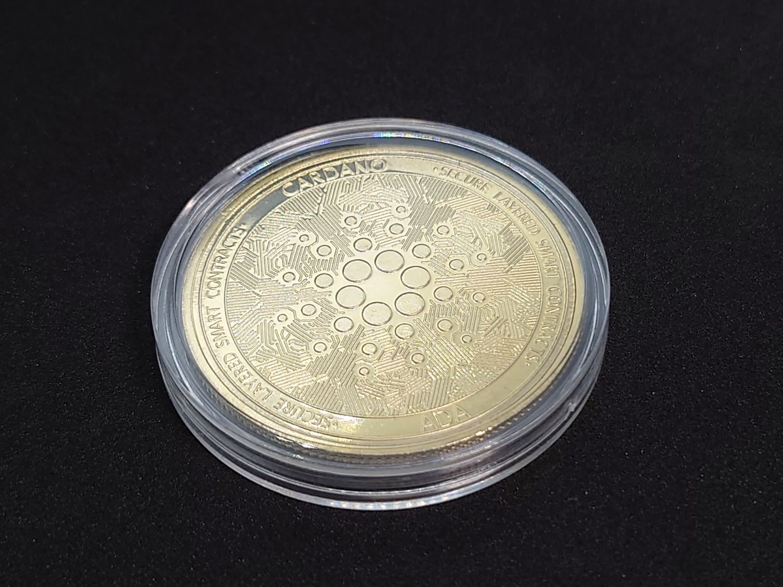 CARDANO ADAコイン 記念メダル