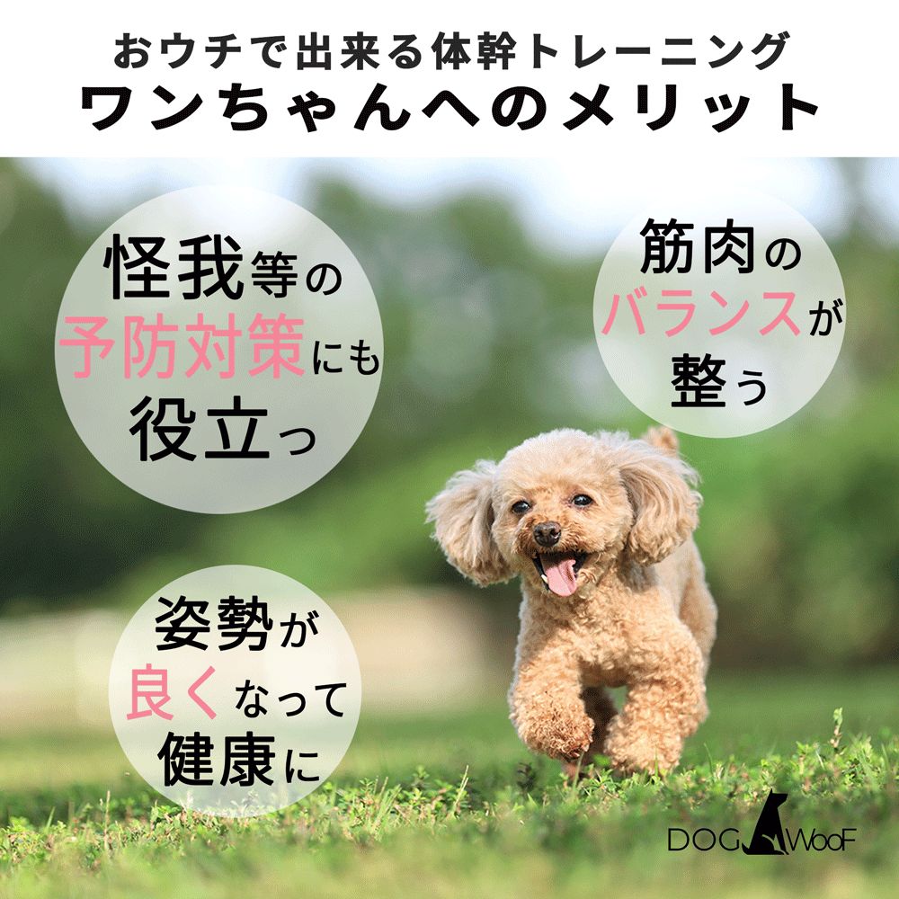 4個セット 小中大型犬