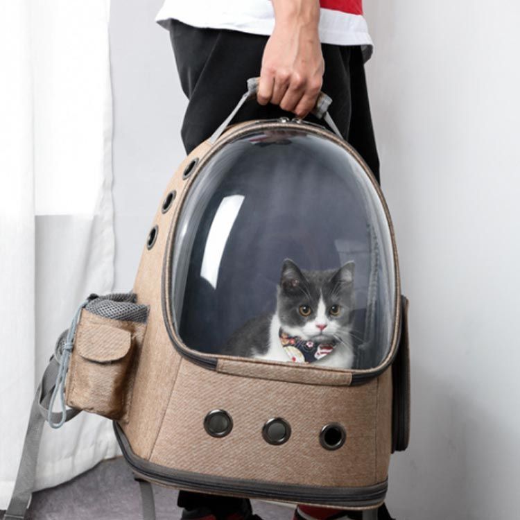 猫 ペットキャリー リュック 犬 猫 小型犬 ペット キャリー