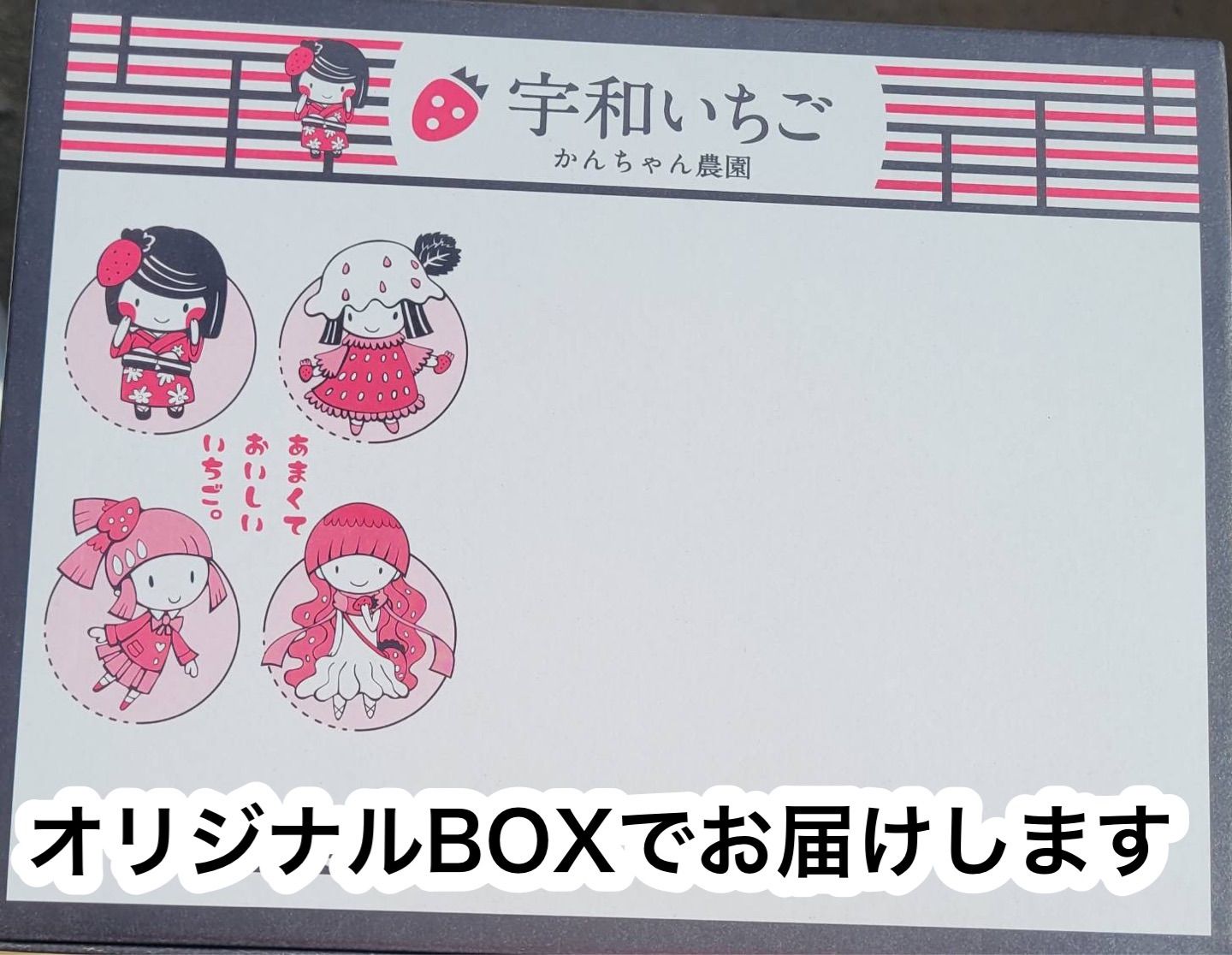 【24日(金)発送】【全国一律価格】クール便💙【農家直送】2箱セット「複数割引価格‼️」大好評❣️かんちゃん農園 甘いいちご-8