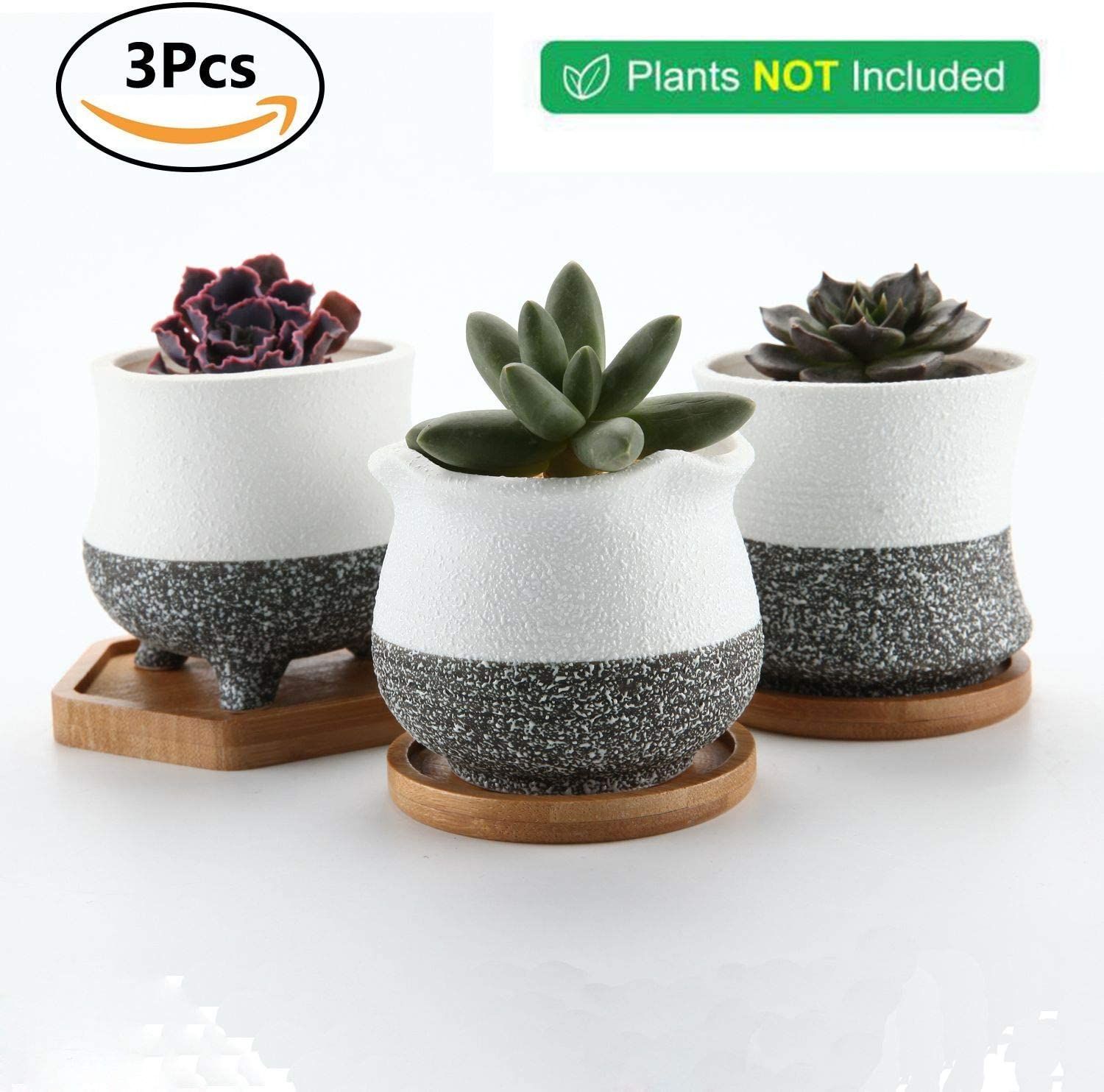 売れ筋がひ 新品 未使用 T4u 8cm 多肉植物鉢 おしゃれ 植木鉢 陶器 サボテン鉢 ミニ鉢 雪 フラワー ガーデン Lavacanegra Com Mx Lavacanegra Com Mx