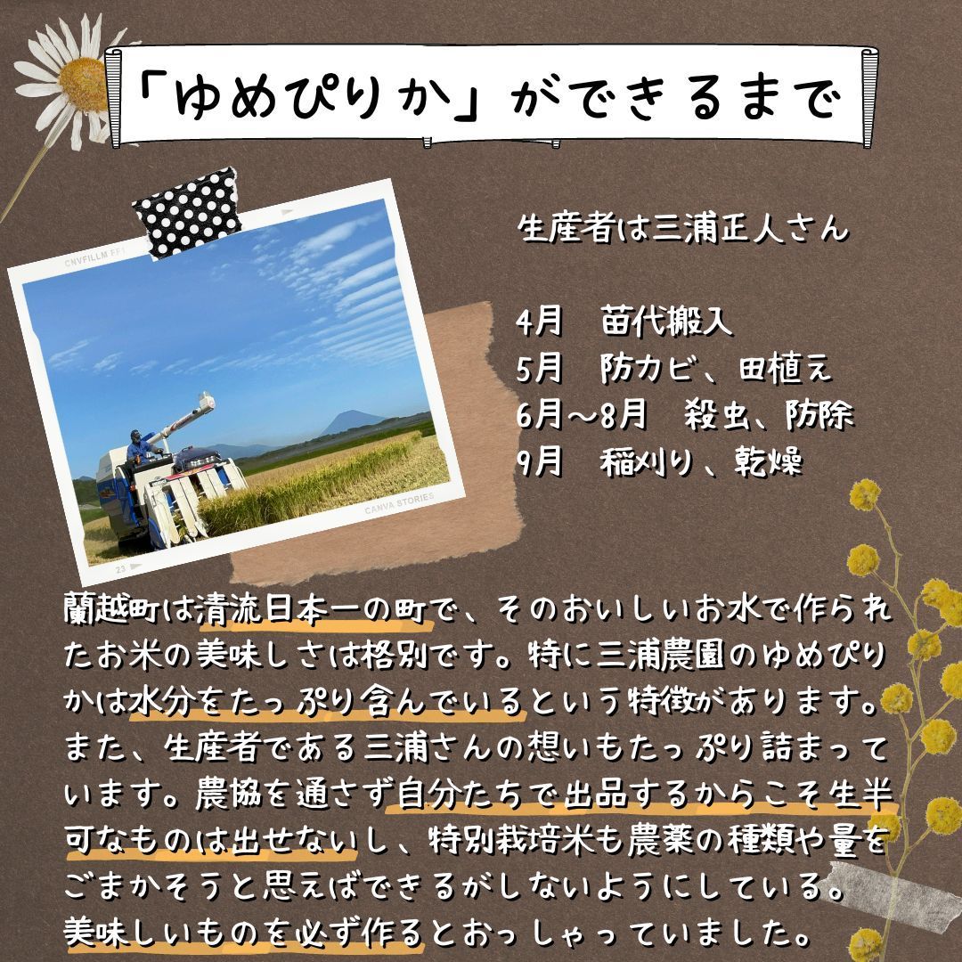 【令和6年・減農薬・特別栽培米】ゆめぴりか  10kg 北海道蘭越産