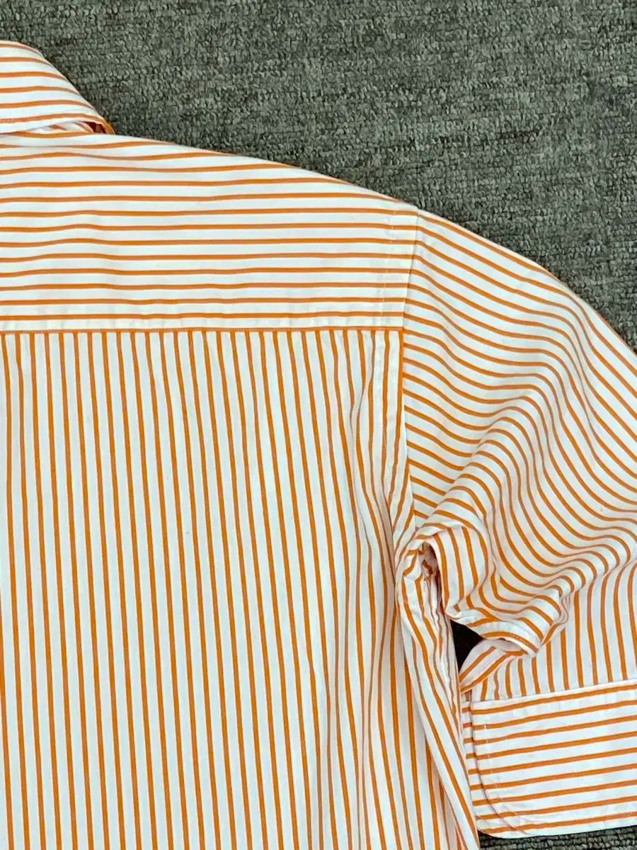 Polo ポロ