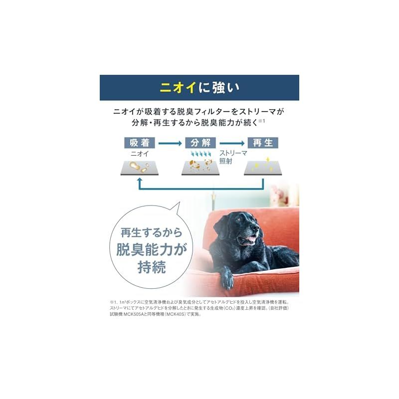 モデル