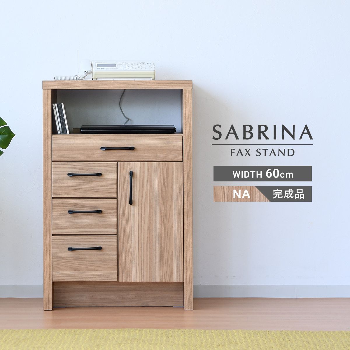 販売 ☆初出品美大株☆ ラフィドフォラ ミグマ ヒメモンステラ