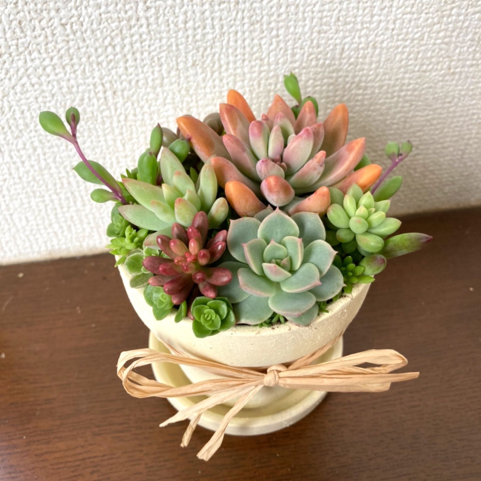 リメイク鉢素焼き鉢　★多肉植物入り★ 🌵多肉用品豊富に品揃え▶︎@tokorozawa_pot_center ． 《着せ替え