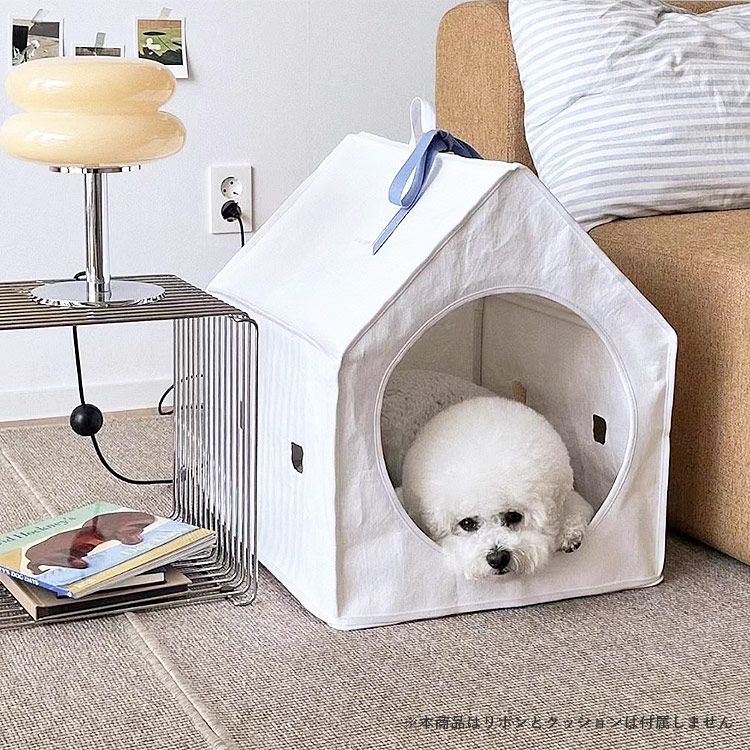 いぬ ねこ