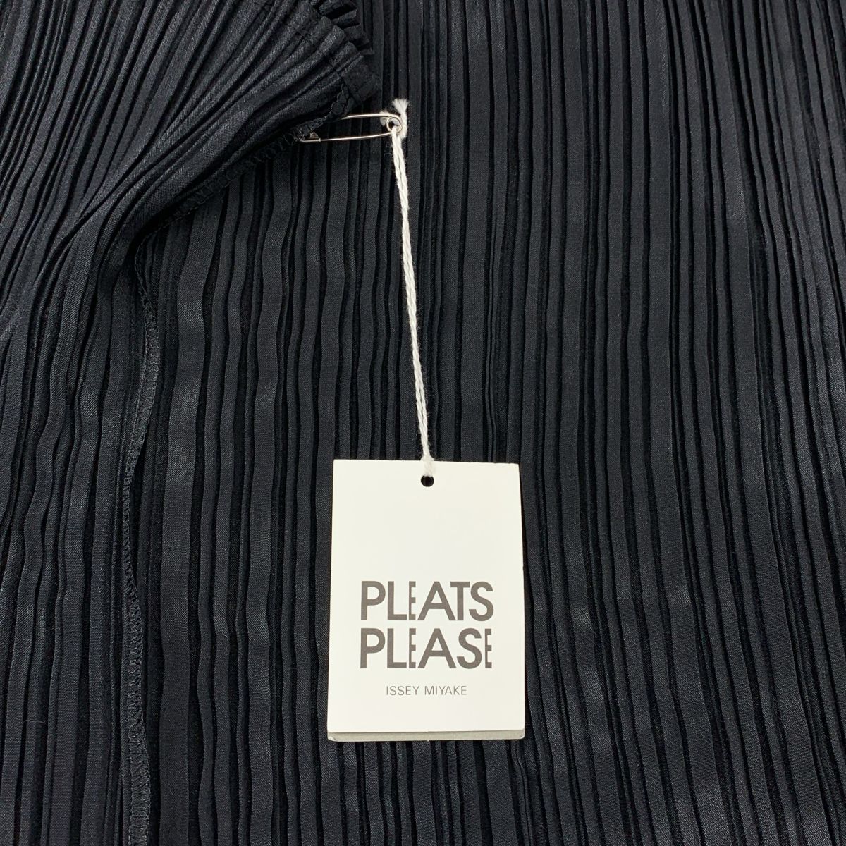 PLEATS