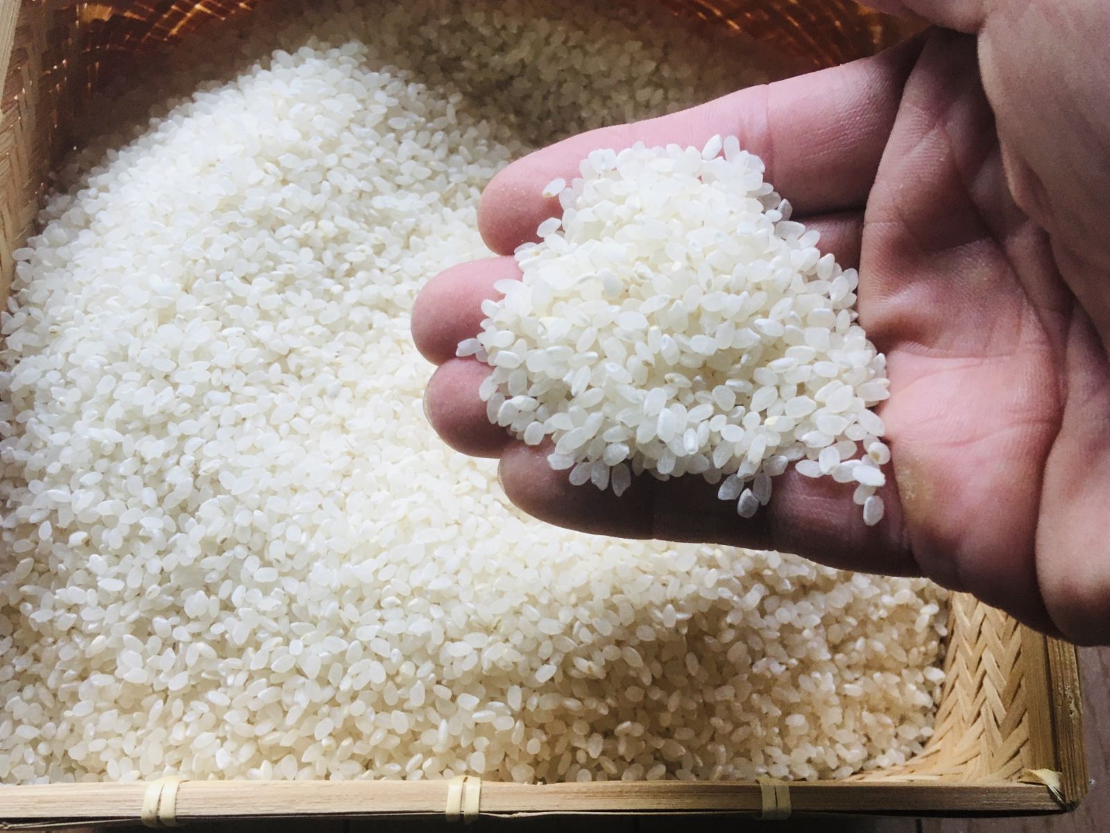 1日5点限定販売!!】令和6年産 北海道 富良野産 ゆめぴりか 5kg