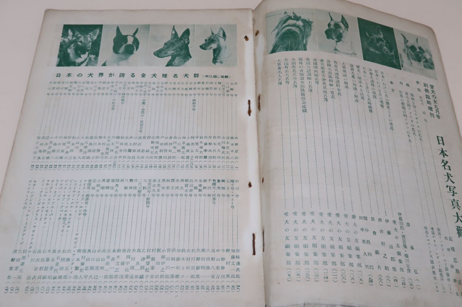 日本名犬写真大観・愛犬の友臨時増刊/昭和29年/日本の犬界が誇る