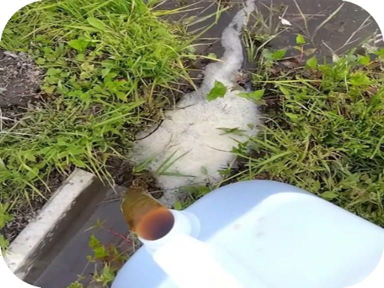 JAS有機資材 自然由来の有機酸発酵液で出来た土壌改良材 ECO EARTH Green 500ｍｌ １２本セット WWW_OLIVIERBERNSTEIN_COM