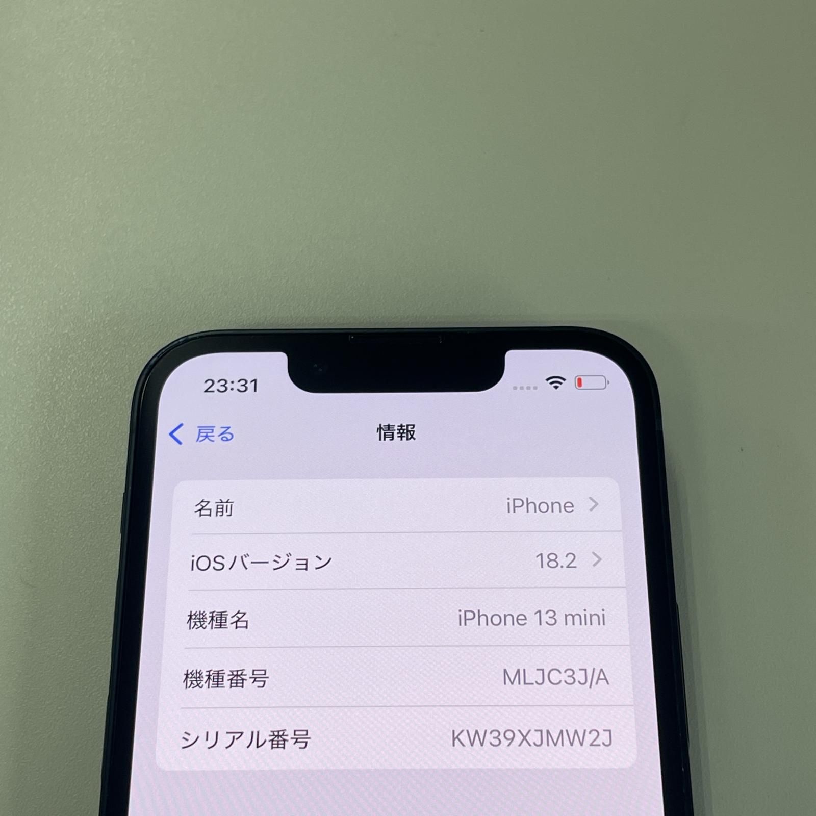 iPhone 13