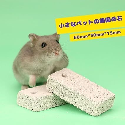 ザ・クラッシュ サン・エンフューズ・ロープ crocs 24HO CLASSIC LINED OVERPUFF CLOG Cyber Yellow 210059