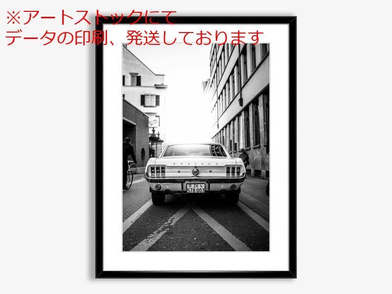mz ポスター A3 (A4も可) フォード マスタング リアビュー ポスター 白黒のクラシックカー ウ