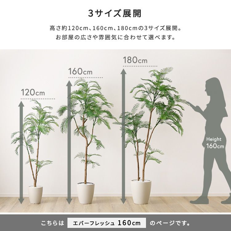 お手入れ簡単フェイクグリーン エバーフレッシュ